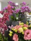 gardenia-citycenter-roze (6)