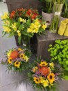 gardenia-citycenter-roze (7)