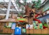 Otroski park Dzungla Citycenter Celje - pogled-na-dzunglo