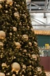 Citycenter-Bozicno-novoletna-smreka-2025-detajl (3)