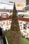 Citycenter-Bozicno-novoletna-smreka-2025 (5)