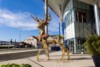 Citycenter-zunanjost-maj-2026-jelencek